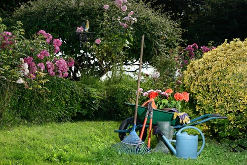 Accessible landscaping page illustration for Swisscottage
