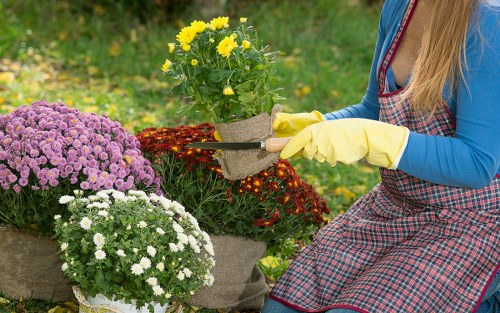 Urban garden planting and hard landscaping details for a Swiss Cottage property