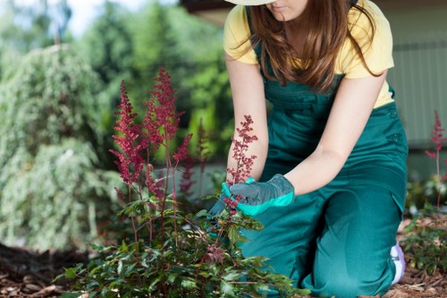 Screen-reader friendly landscaping content layout