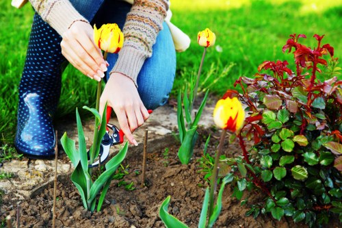 Final review of landscaping complaint records and site details