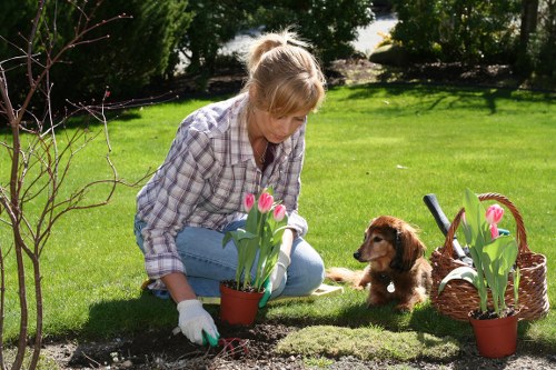Clear work area and housekeeping measures in a landscaping environment